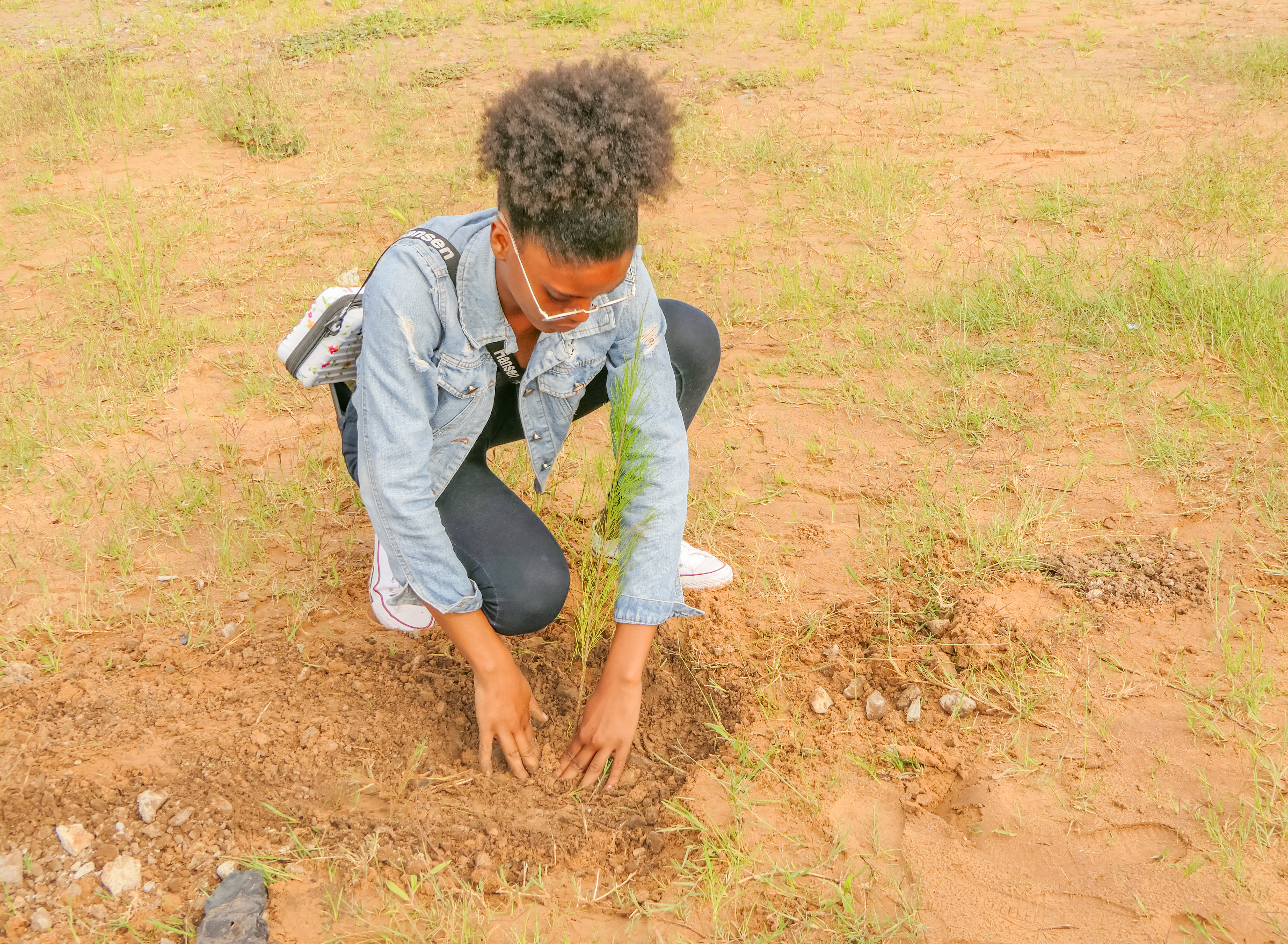 Unic-estudante-campanha-de-plantação-árvores9