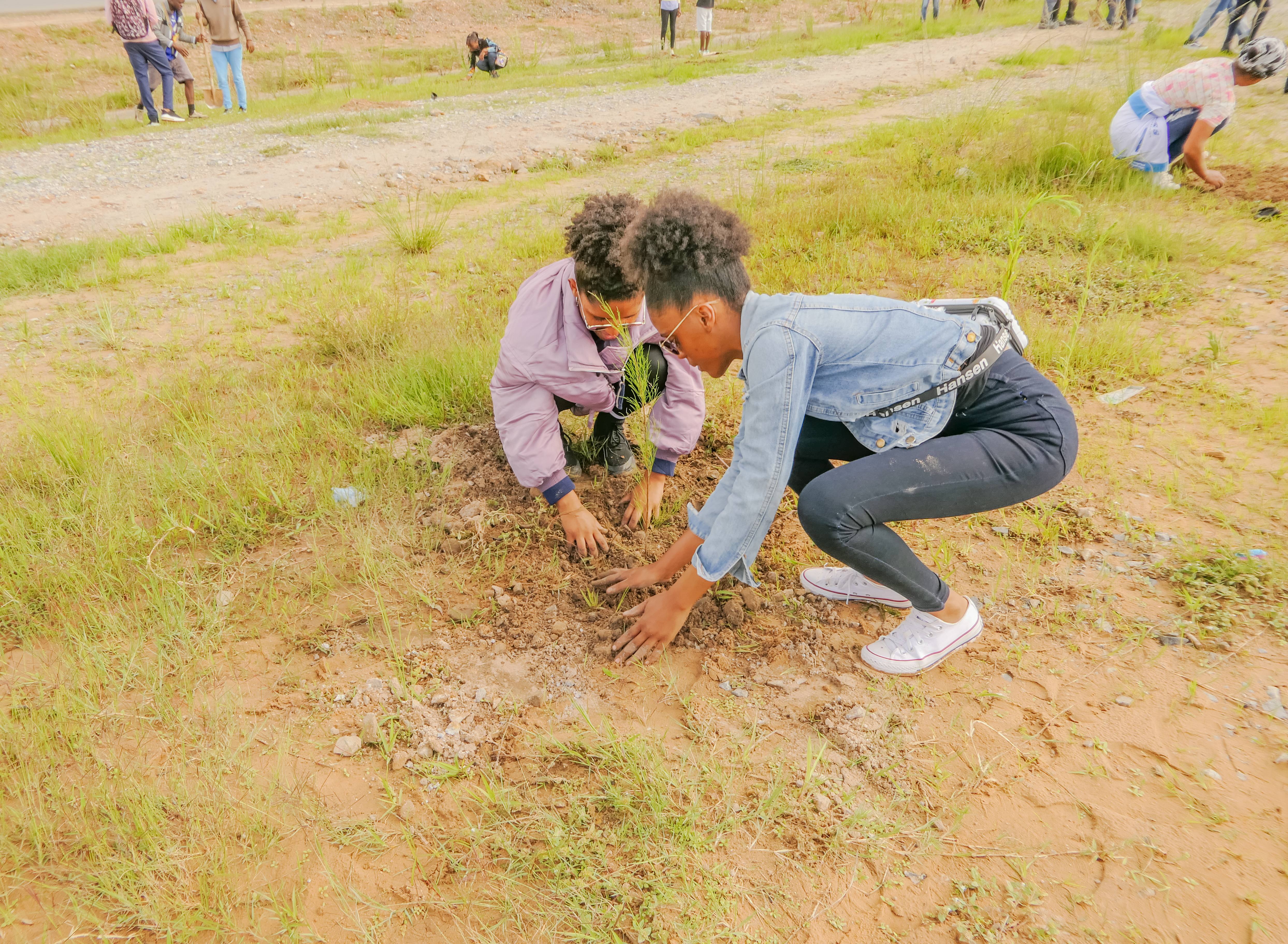 Unic-estudantes-campanha-de-plantação-árvores12