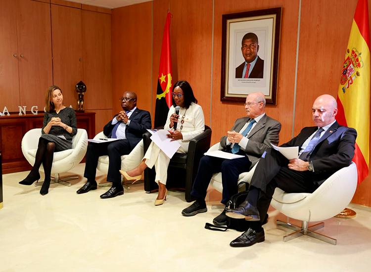 mesa redonda aniversário visita Reis de Espanha a Angola-UNIC-4