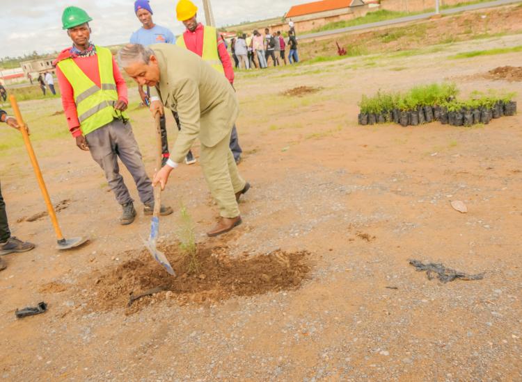 Unic-Reitor-Carlos-campanha-de-plantação-árvores2