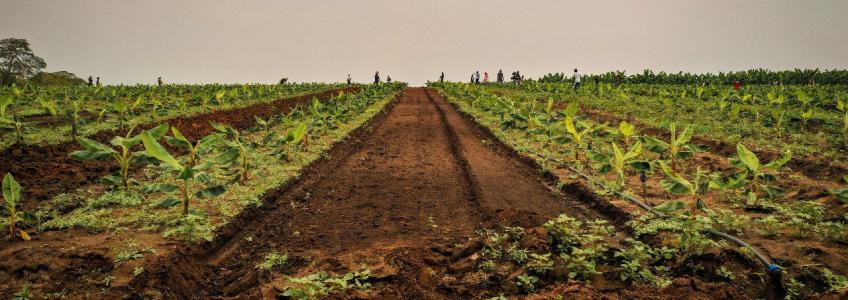 WhatsApp-Image-2025-11-17-at-16.24