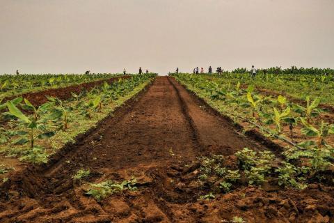 WhatsApp-Image-2025-11-17-at-16.24