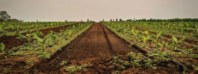 WhatsApp-Image-2025-11-17-at-16.24